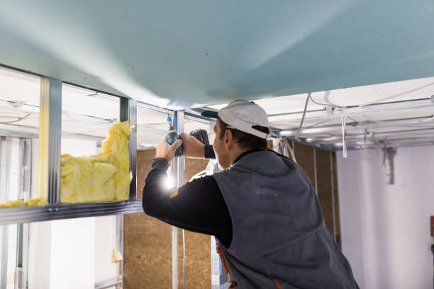 Best Insulation Maintenance and Repair in St Elmo, IL