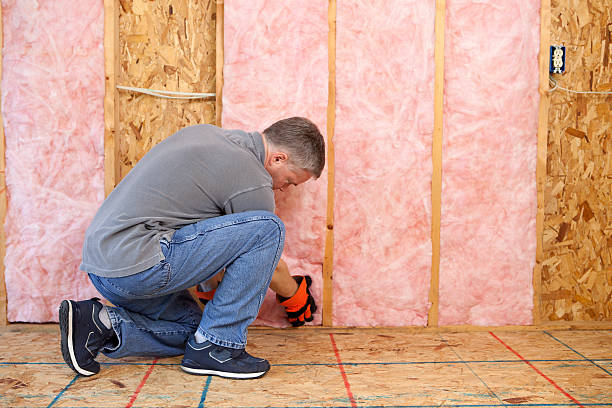 Best Commercial Insulation in St Elmo, IL